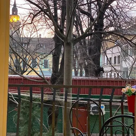 Sova Novi Sad