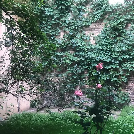 Sova Dream Апарт-отель Нови-Сад